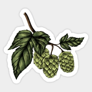 Hand Drawn Hops Sticker